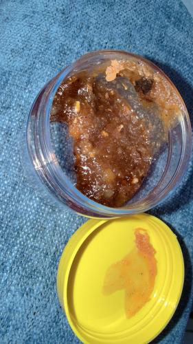 مقل اشقر فاخر ذهبي ( باكستاني )