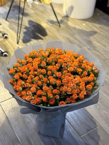 بيبي روز الاورنج