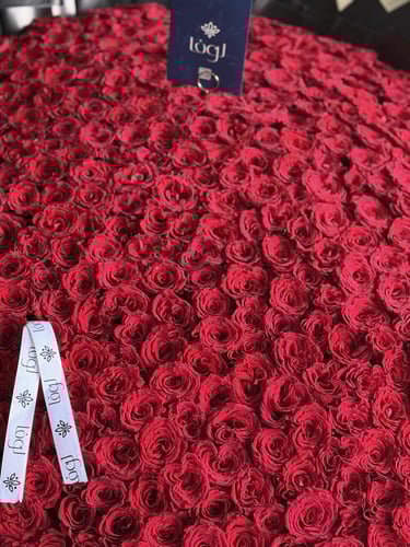 بوكس لوفا. قلب