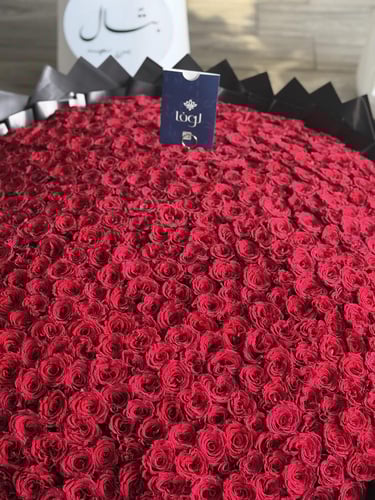 بوكس لوفا. قلب