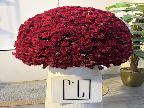 فازه الجوري الاحمر دوران كبير