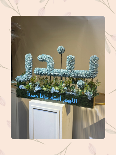 بوكس اسم اسم مواليد. مقاس متر