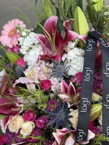 فازة زهوز الجذابه