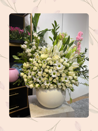 فازه مكس بيبي روز ابيض &كزبلانك ابيض