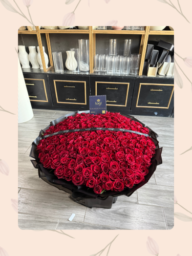 باقة الجوري الاحمر. الفخمه