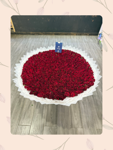 باقة البيبي روز