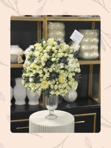 فازة زهوز البيبي روز ابيض