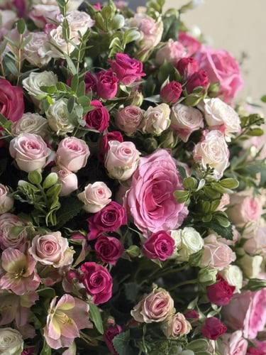 فازه مكس ورد