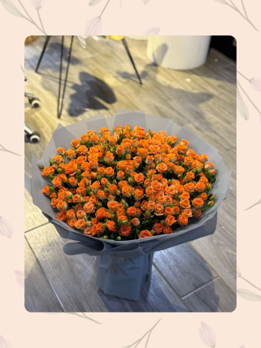 بيبي روز الاورنج