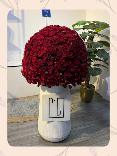 فازه الجوري الاحمر دوران كبير