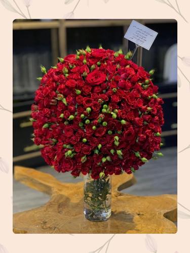 فازة ورد بيبي روز احمر