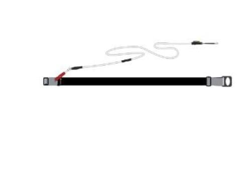 Wingfoil Waistbelt Leash 2.0