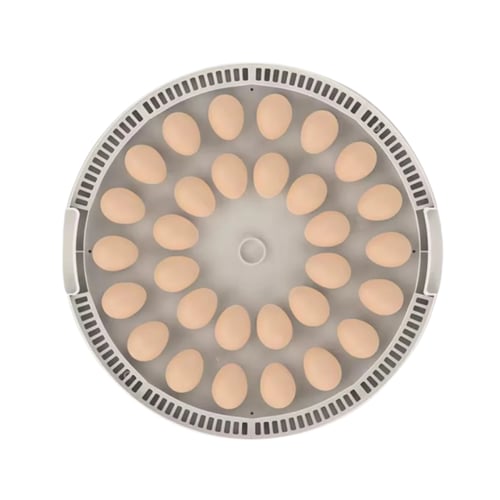 فقاسة بيض 30 بيضة أوتوماتيكية – تقليب تدحرجي ذكي و...