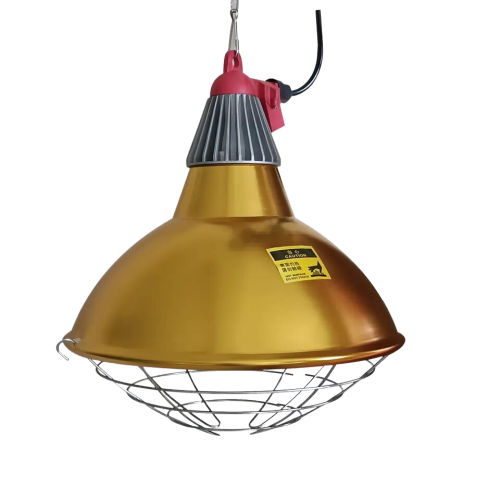 قاعدة متكاملة بدون لمبة