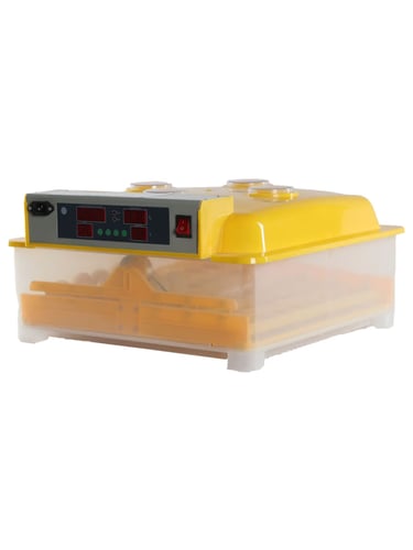 فقاسة 48 بيضة