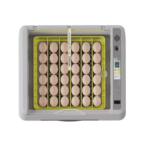 فقاسة بيض 36 بيضة أوتوماتيكية – تقليب تدحرجي وتحكم...