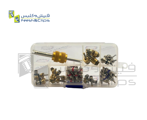 طقم بلف هواء+بلف حرارة مع المفتاح 10423 علبة