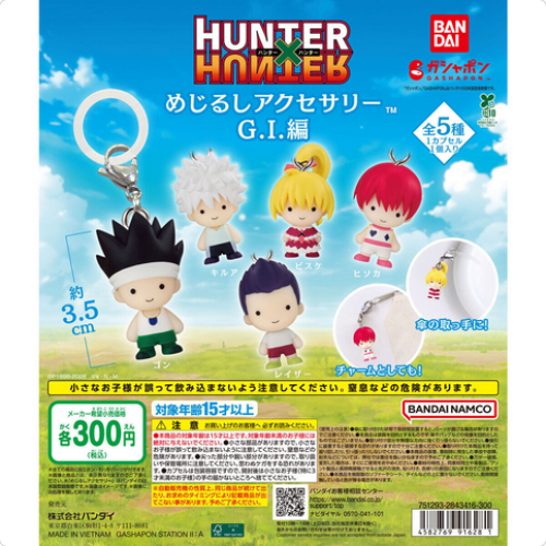 قاتشابون ميداليات هنتر اكس هنتر | HUNTER×HUNTER Me...