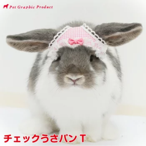 بانتي الارانب اللطيفة | Rabbit Hat Usa Pan T 《 Pol...