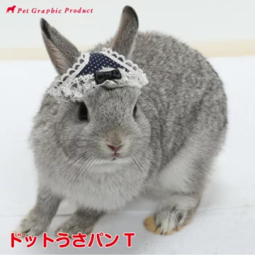 بانتي الارانب اللطيفة | Rabbit Hat Usa Pan T 《 Pol...