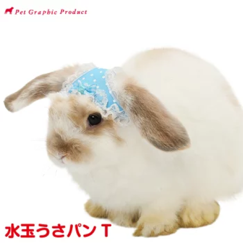 بانتي الارانب اللطيفة | Rabbit Hat Usa Pan T 《 Pol...