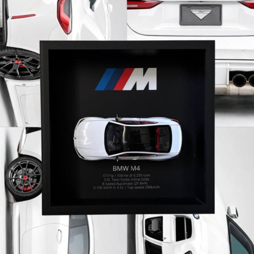 BMW M4 (WHITE)