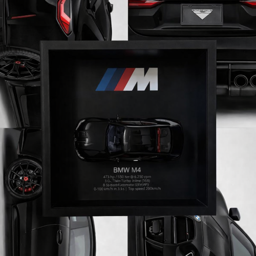BMW M4 (BLACK)
