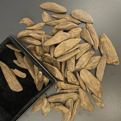 موروكي أريان