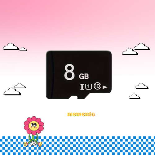 ذاكرة كاميرا