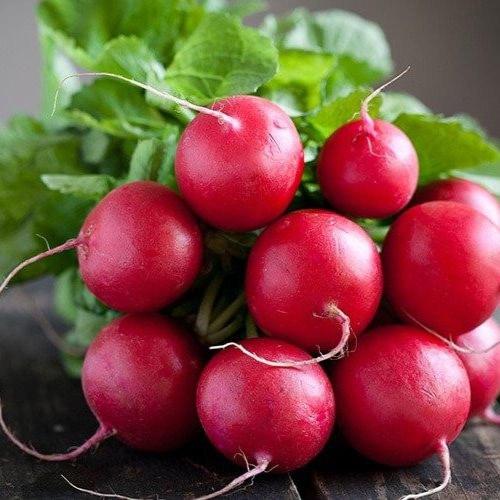 الفجل