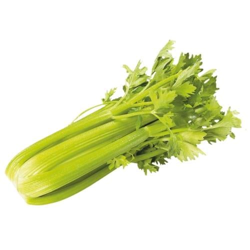 الكرفس