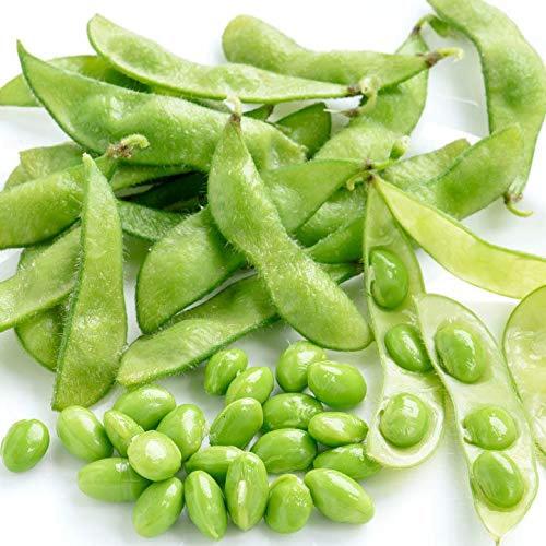 فول الاخضر