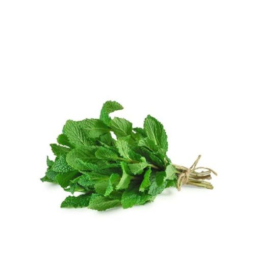 نعناع