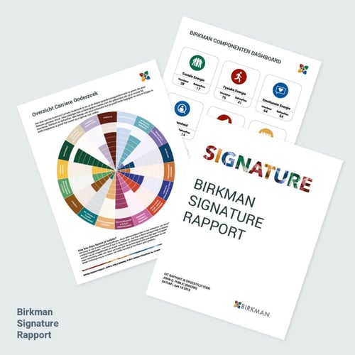 استشارة بيركمان