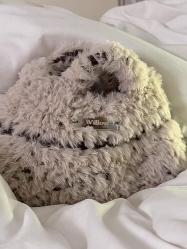 ️Fur bag / شنطة فرو