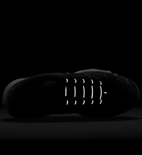 Nike Air Max Plus Black and White