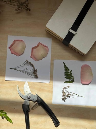 بوكس تنسيق وتجفيف الورد