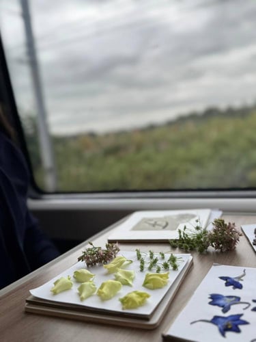 بوكس تنسيق وتجفيف الورد