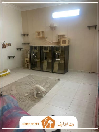 فندقة قطط بالرياض أمان