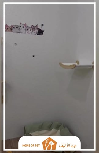 فندقة طيور بتبوك pet sitter