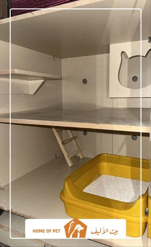 فندقة قطط بتبوك Cat care center