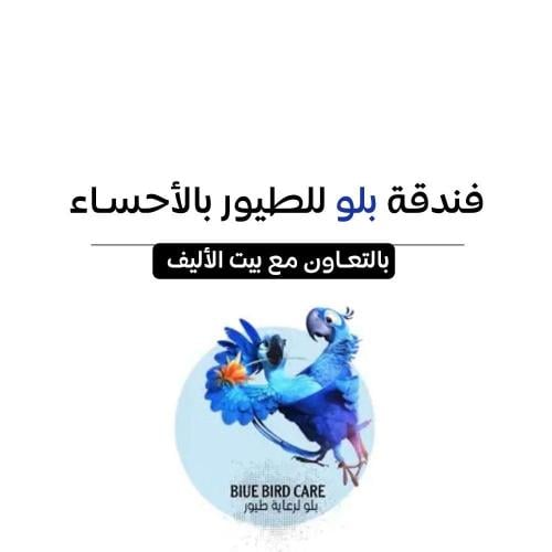 فندقة طيور بلو في الإحساء