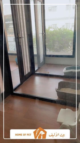 فندقة قطط بجدة دارين