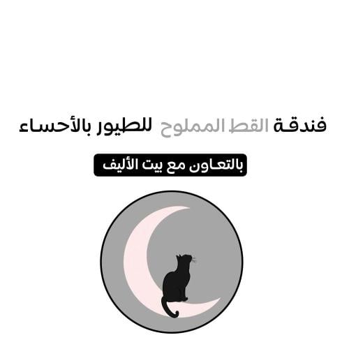 فندقة طيور القط المملوح في الدمام