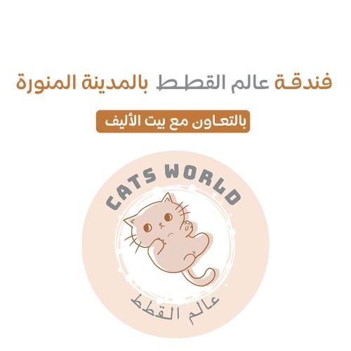 فندقة قطط بالمدينة المنورة عالم القطط
