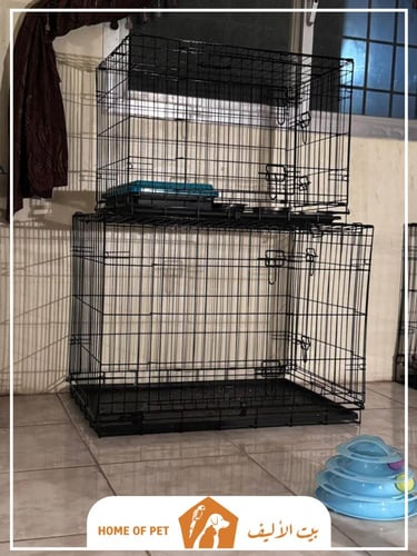 فندقة قطط بالخبر دوللي