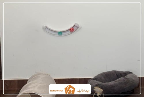 فندقة قطط ببريدة نايت