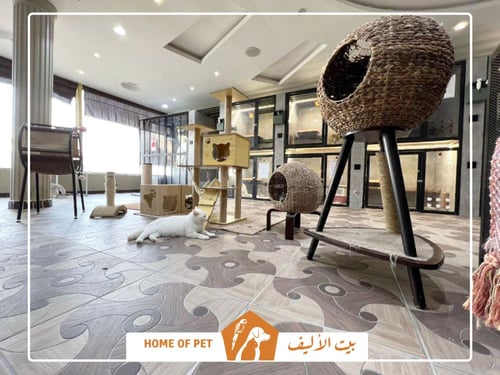 فندقة قطط بمكة المكرمة Oh Lala Cattery