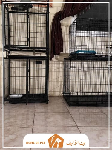 فندقة قطط بالخبر دوللي