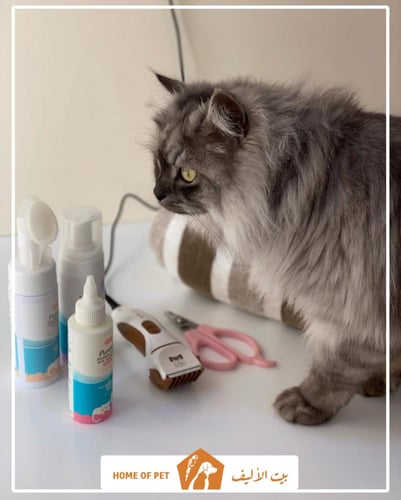 فندقة قطط بالقريات PAWS safe